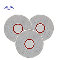 Máy dò khí kèm pin lithium Oceanus OC-518