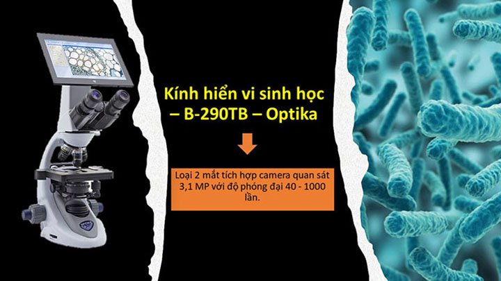 Kính hiển vi sinh học 2 mắt Optika B-290TB Kính hiển vi sinh học 2 mắt Optika B-290TB