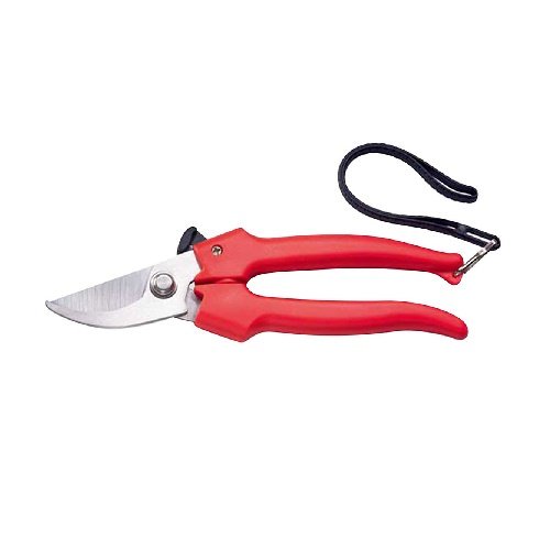 Kéo cắt cành Fujiya AGS-039