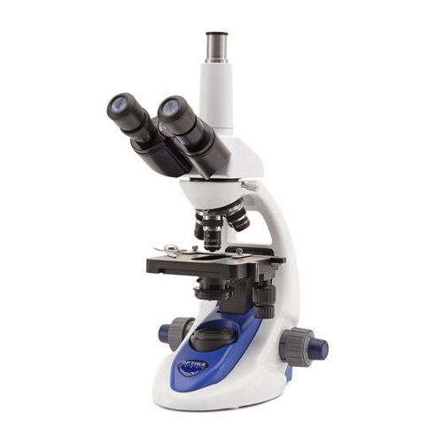 Kính hiển vi sinh học Optika B -193
