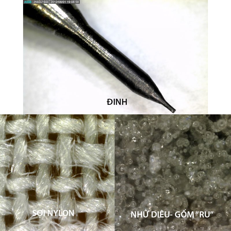 Ứng dụng khác của kính hiển vi Dino-Lite Ứng dụng khác của kính hiển vi Dino-Lite