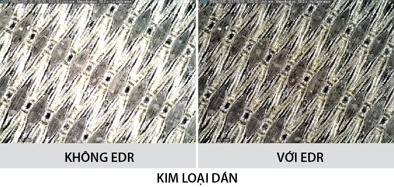 Ảnh chụp từ kính hiển vi Dino-Lite AM7915MZTL - Ply metal Ảnh chụp từ kính hiển vi Dino-Lite AM7915MZTL - Ply metal
