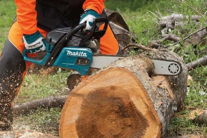 Máy cưa xích Makita EA5600F53EX được dùng phổ biến để cưa cắt thân cây Máy cưa xích Makita EA5600F53EX được dùng phổ biến để cưa cắt thân cây