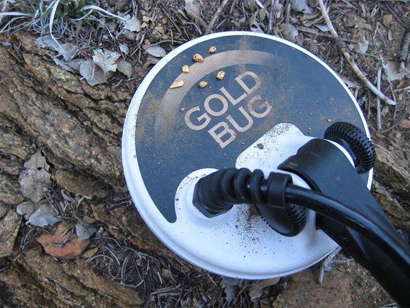 Máy dò vàng cốm Gold Bug Pro Fisher USA Máy dò vàng cốm Gold Bug Pro Fisher USA