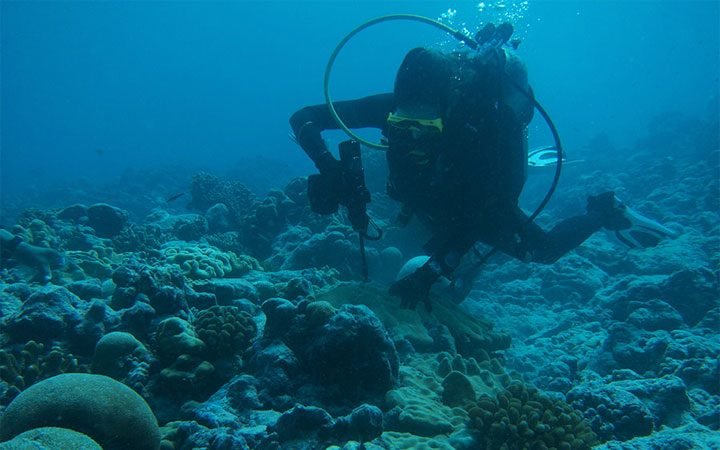 Máy khoan búa dưới nước Nemo Máy khoan búa dưới nước Nemo