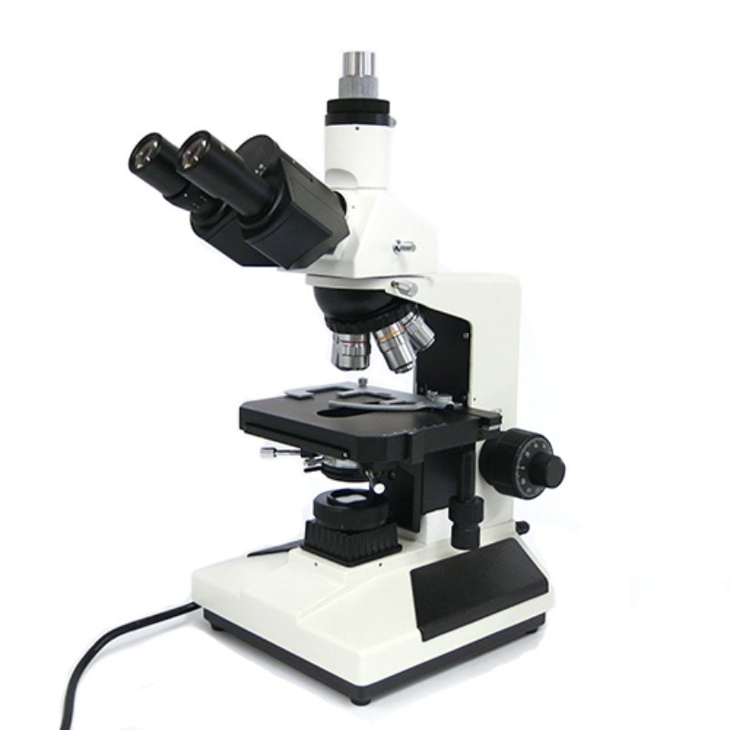 Kính hiển vi Shodensha sinh học BC-31 sử dụng ống kính 3 mắt cho hình ảnh sắc nét Kính hiển vi Shodensha sinh học BC-31 sử dụng ống kính 3 mắt cho hình ảnh sắc nét