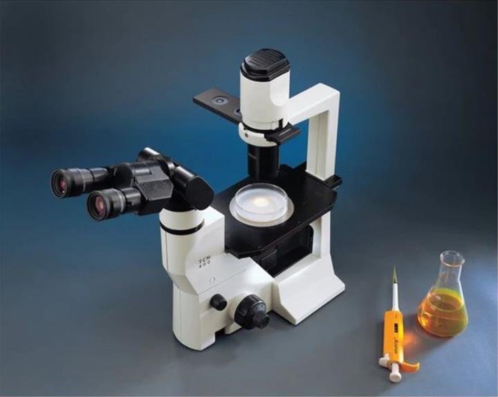 Hình ảnh chụp gần kính hiển vi Labomed TCM 400 Hình ảnh chụp gần kính hiển vi Labomed TCM 400